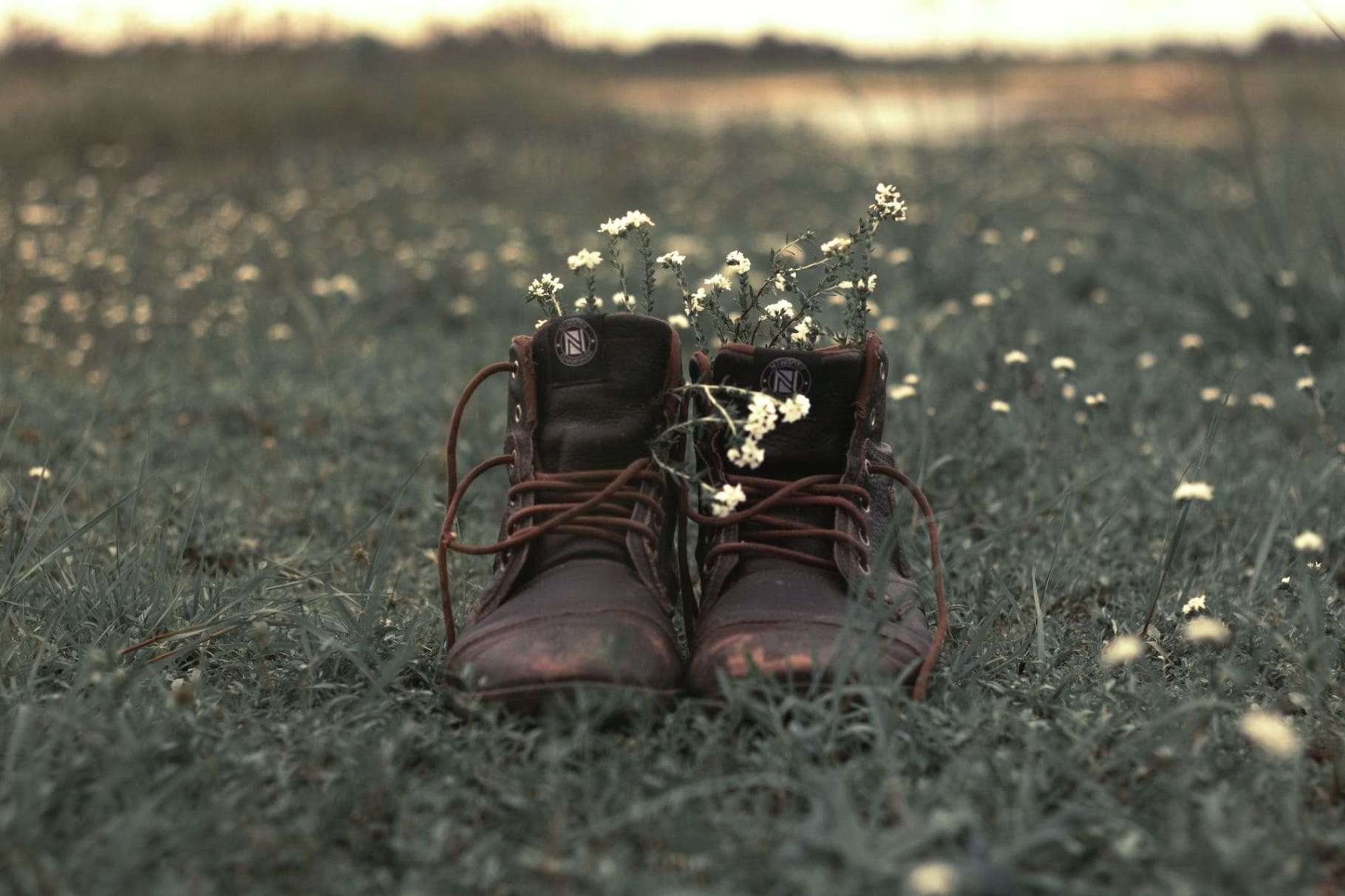 Accompagnement psychologique par Valérie Siino, Psy à Avignon : des chaussures dans l'herbe remplies de fleurs, symbolisant sa juste place et l'épanouissement retrouvé